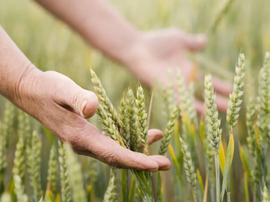 A magyar agrárium jövője a tét